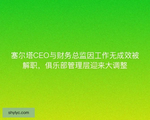 塞尔塔CEO与财务总监因工作无成效被解职,俱乐部管理层迎来大调整 塞尔塔CEO与财务总监因工作无成效被解职,俱乐部管理层迎来大调整