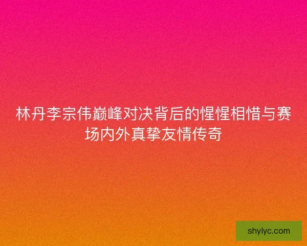 林丹李宗伟巅峰对决背后的惺惺相惜与赛场内外真挚友情传奇