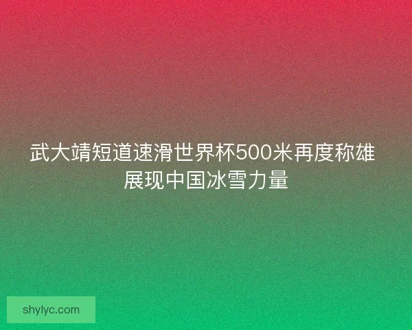武大靖短道速滑世界杯500米再度称雄 展现中国冰雪力量